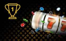 ls2 report